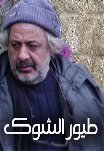 طيور الشوك